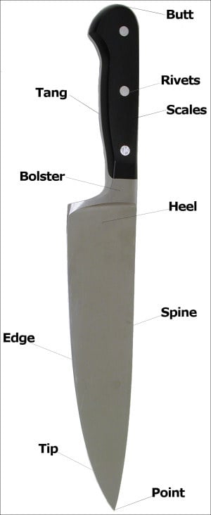 anatomy of knife