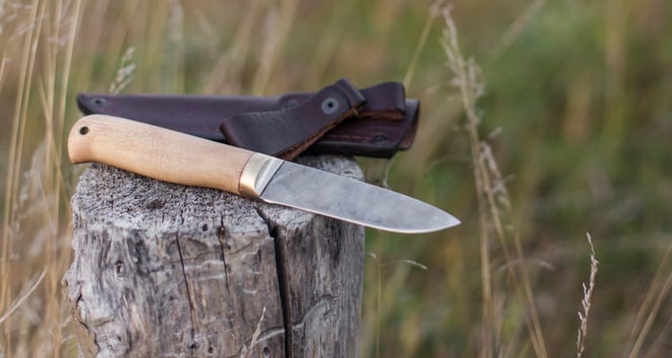 Types of Knives : The Definitive Knife Buying Guide for [currentyear] 1