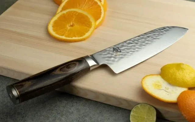 Shun Santoku Knife